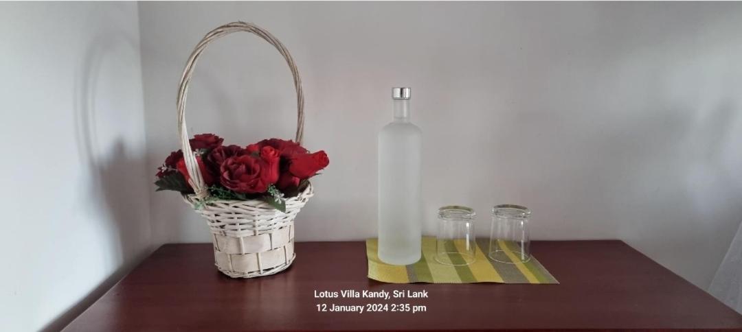 Lotus Villa Kandy Peradeniya Luaran gambar