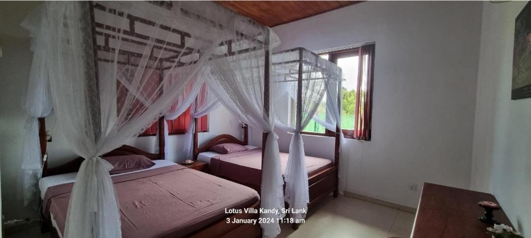Lotus Villa Kandy Peradeniya Luaran gambar