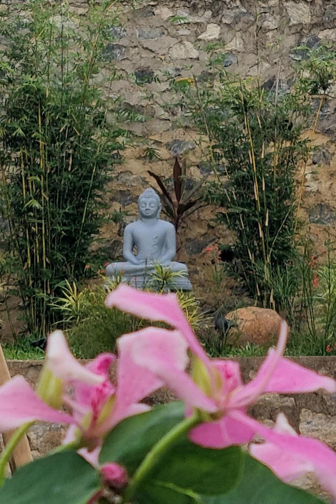 Lotus Villa Kandy Peradeniya Luaran gambar